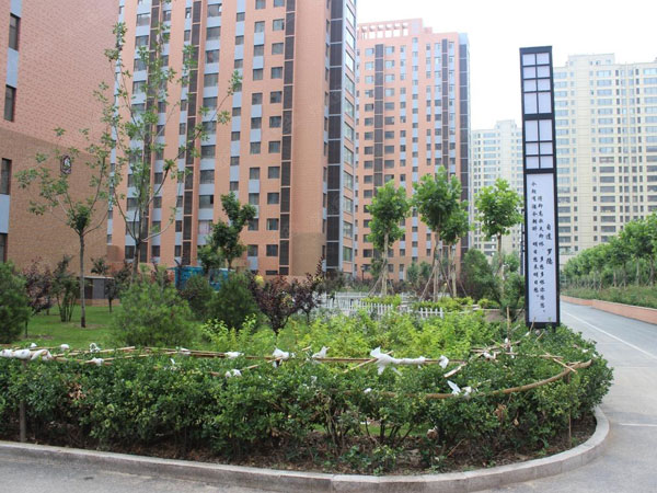 當代國際花園